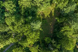 A4 Gooney Manor Loop, Bentonville, VA 22610 - Photo 52