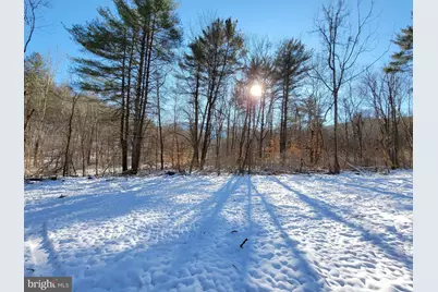 49A4 Gooney Manor Loop, Bentonville, VA 22610 - Photo 20