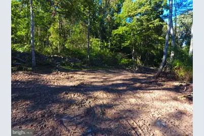 49A4 Gooney Manor Loop, Bentonville, VA 22610 - Photo 8