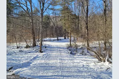 49A4 Gooney Manor Loop, Bentonville, VA 22610 - Photo 24