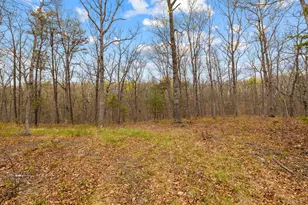 155 Turkey, Middletown, VA 22645 - Photo 56