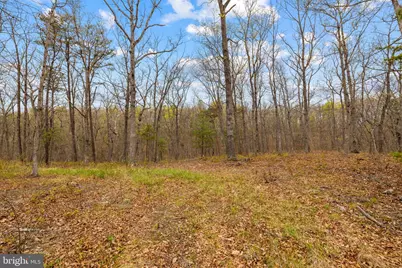 155 Turkey, Middletown, VA 22645 - Photo 48