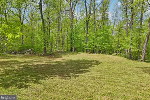 141 Hickory Nut Rd, Linden, VA 22642 - Photo 28