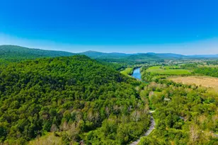 3201 Howellsville Rd, Front Royal, VA 22630 - Photo 100