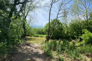 Lot 508 Wambach Ct, Front Royal, VA 22630 - Photo 52