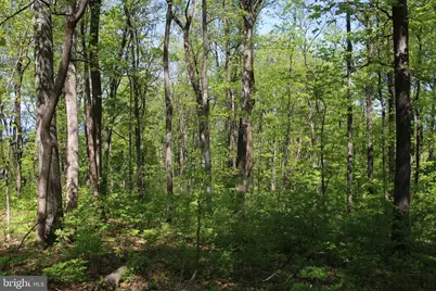 4011 Blue Mountain Road, Front Royal, VA 22630 - Photo 24