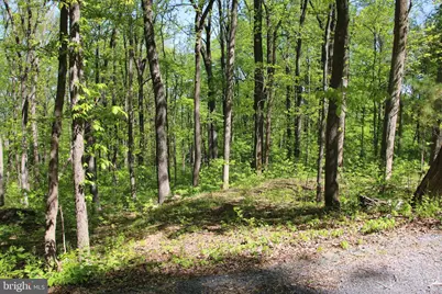 4011 Blue Mountain Road, Front Royal, VA 22630 - Photo 26