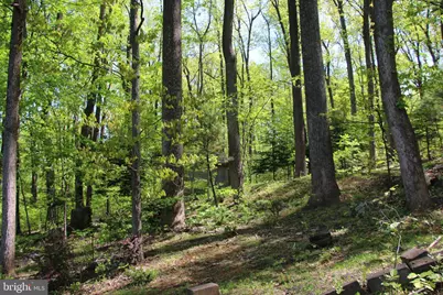 4011 Blue Mountain Road, Front Royal, VA 22630 - Photo 10