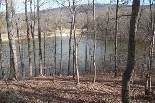 Lot 77 Gussin Way, Linden, VA 22642 - Photo 1