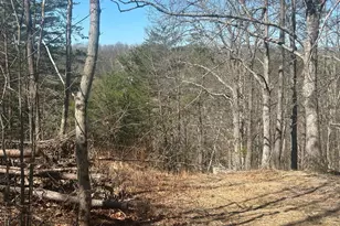 Andrews Rd, Strasburg, VA 22657 - Photo 1