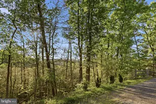 142 Spring Hollow Rd, Front Royal, VA 22630 - Photo 44