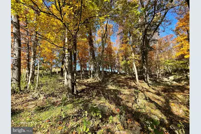 Parcel 63 Buck Mountain Rd, Bentonville, VA 22610 - Photo 56