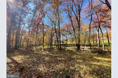 Parcel 63 Buck Mountain Rd, Bentonville, VA 22610 - Photo 48