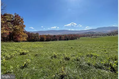 Parcel 63 Buck Mountain Rd, Bentonville, VA 22610 - Photo 6
