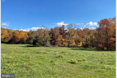 Parcel 63 Buck Mountain Rd, Bentonville, VA 22610 - Photo 42