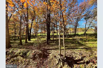 Parcel 63 Buck Mountain Rd, Bentonville, VA 22610 - Photo 50
