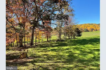 Parcel 63 Buck Mountain Rd, Bentonville, VA 22610 - Photo 12