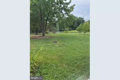 172 Rogers Mill Road, Strasburg, VA 22657 - Photo 30