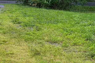 172 Rogers Mill Rd, Strasburg, VA 22657 - Photo 26