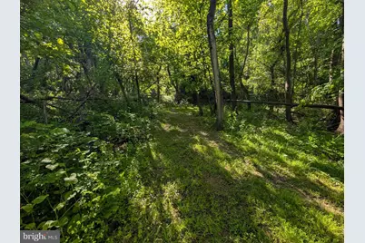 189 Piedmont Orchard Road, Linden, VA 22642 - Photo 8