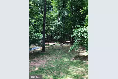 997 Wilderness Road, Linden, VA 22642 - Photo 54