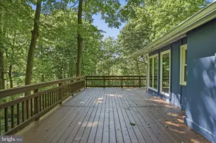 49 Wild Cherry Way, Linden, VA 22642 - Photo 52