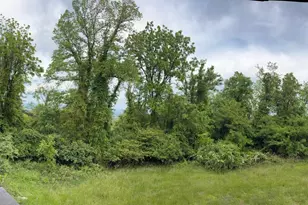 2775 Blue Mountain Rd, Front Royal, VA 22630 - Photo 28