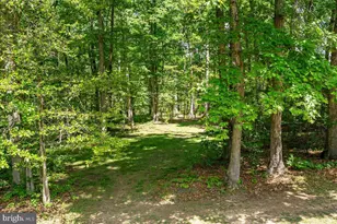 298 McDaniel Ln, Middletown, VA 22645 - Photo 38