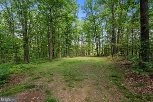298 McDaniel Ln, Middletown, VA 22645 - Photo 46