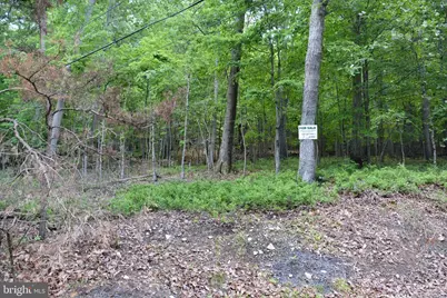 3 Lots - 59, 60, 61 Baldwin Road, Front Royal, VA 22630 - Photo 14