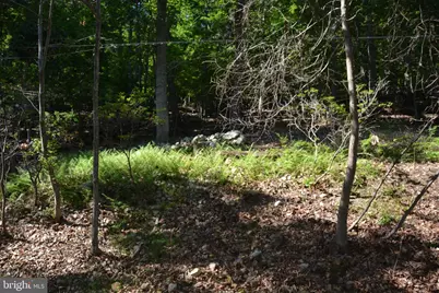 3 Lots - 59, 60, 61 Baldwin Road, Front Royal, VA 22630 - Photo 8