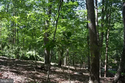 3 Lots - 59, 60, 61 Baldwin Road, Front Royal, VA 22630 - Photo 18