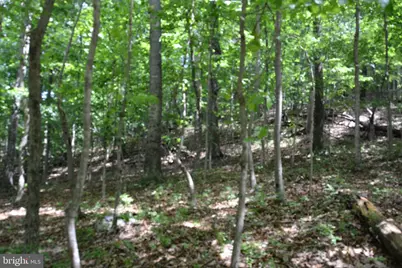 3 Lots - 59, 60, 61 Baldwin Road, Front Royal, VA 22630 - Photo 12