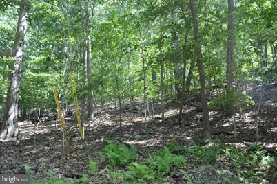 3 Lots - 59, 60, 61 Baldwin Road, Front Royal, VA 22630 - Photo 20