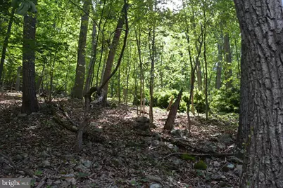 3 Lots - 59, 60, 61 Baldwin Road, Front Royal, VA 22630 - Photo 16
