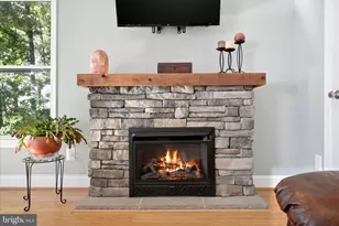 500 Delicious Rd, Linden, VA 22642 - Photo 4