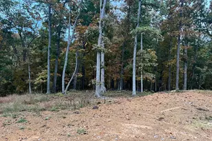 Tbd Oak Hill Ct, Stephens City, VA 22655 - Photo 4