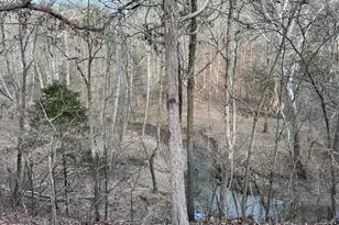 Tbd Oak Hill Ct, Stephens City, VA 22655 - Photo 2