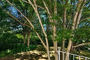 435 Bowling Green Rd, Front Royal, VA 22630 - Photo 8