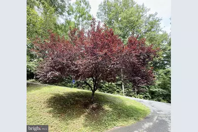 68 View Drive, Front Royal, VA 22630 - Photo 76