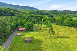 527 Panhandle Rd, Bentonville, VA 22610 - Photo 44