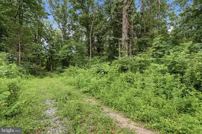 Messick Road, Strasburg, VA 22657 - Photo 4