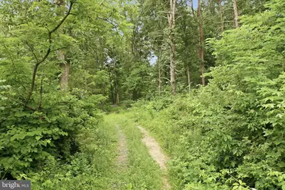 Messick Road, Strasburg, VA 22657 - Photo 18