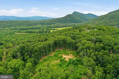 Messick Road, Strasburg, VA 22657 - Photo 8
