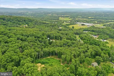Messick Road, Strasburg, VA 22657 - Photo 12