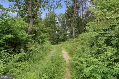 Messick Road, Strasburg, VA 22657 - Photo 22