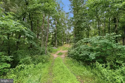 Messick Road, Strasburg, VA 22657 - Photo 10