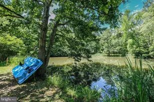 1729 Buck Mountain Rd, Bentonville, VA 22610 - Photo 78