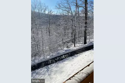 1157 Granny Smith Road, Linden, VA 22642 - Photo 42