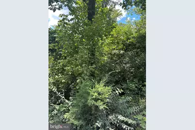 2Lots; 463, 462 Reid Drive, Front Royal, VA 22630 - Photo 4
